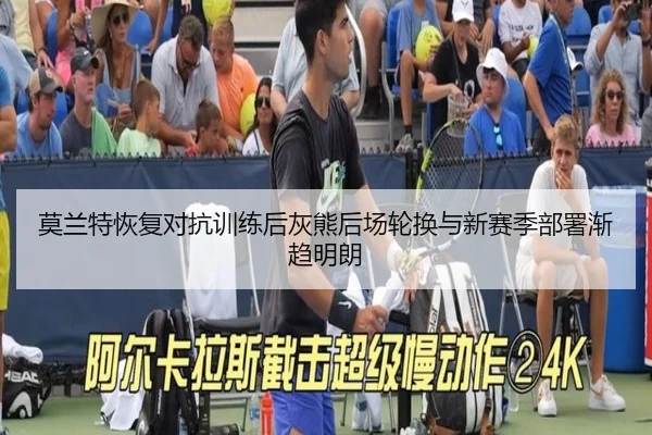 莫兰特恢复对抗训练后灰熊后场轮换与新赛季部署渐趋明朗